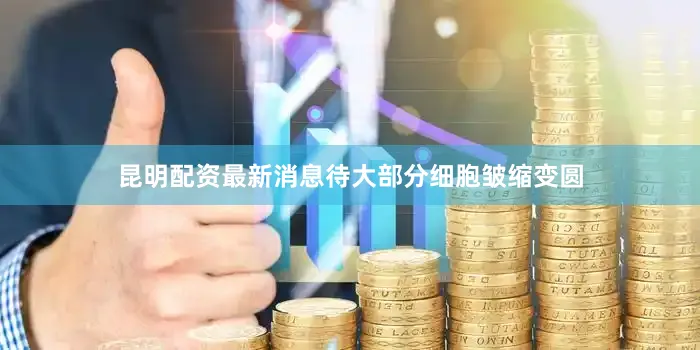 昆明配资最新消息待大部分细胞皱缩变圆