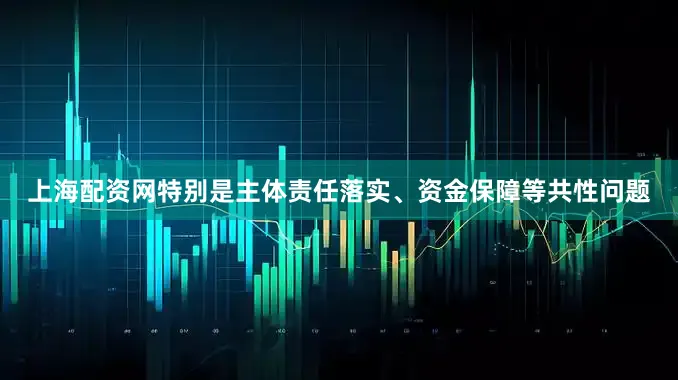 上海配资网特别是主体责任落实、资金保障等共性问题