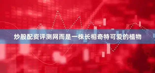 炒股配资评测网而是一株长相奇特可爱的植物