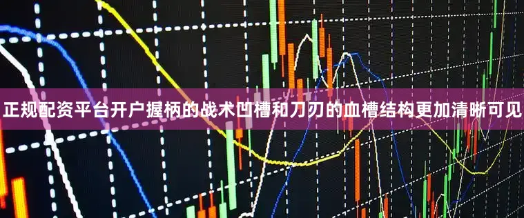 正规配资平台开户握柄的战术凹槽和刀刃的血槽结构更加清晰可见